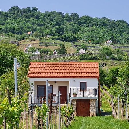 Villa Jera Pince Es Vendeghaz Somlovasarhely Exterior foto