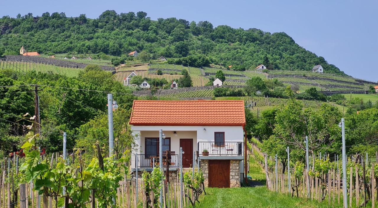 Villa Jera Pince Es Vendeghaz Somlovasarhely Exterior foto
