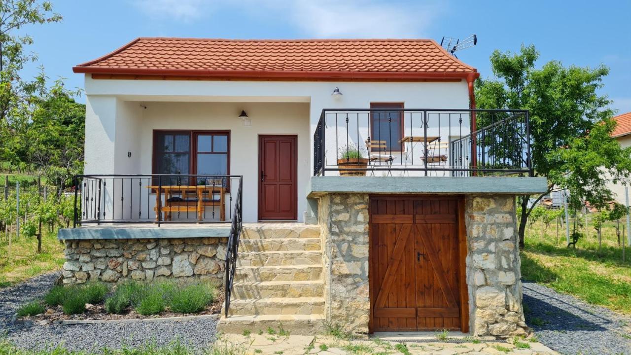 Villa Jera Pince Es Vendeghaz Somlovasarhely Exterior foto