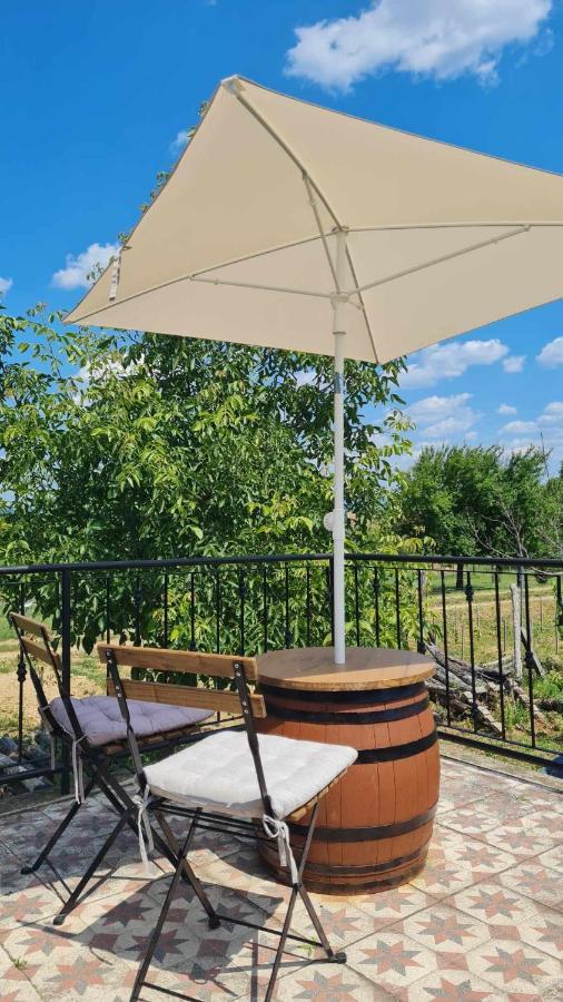 Villa Jera Pince Es Vendeghaz Somlovasarhely Exterior foto