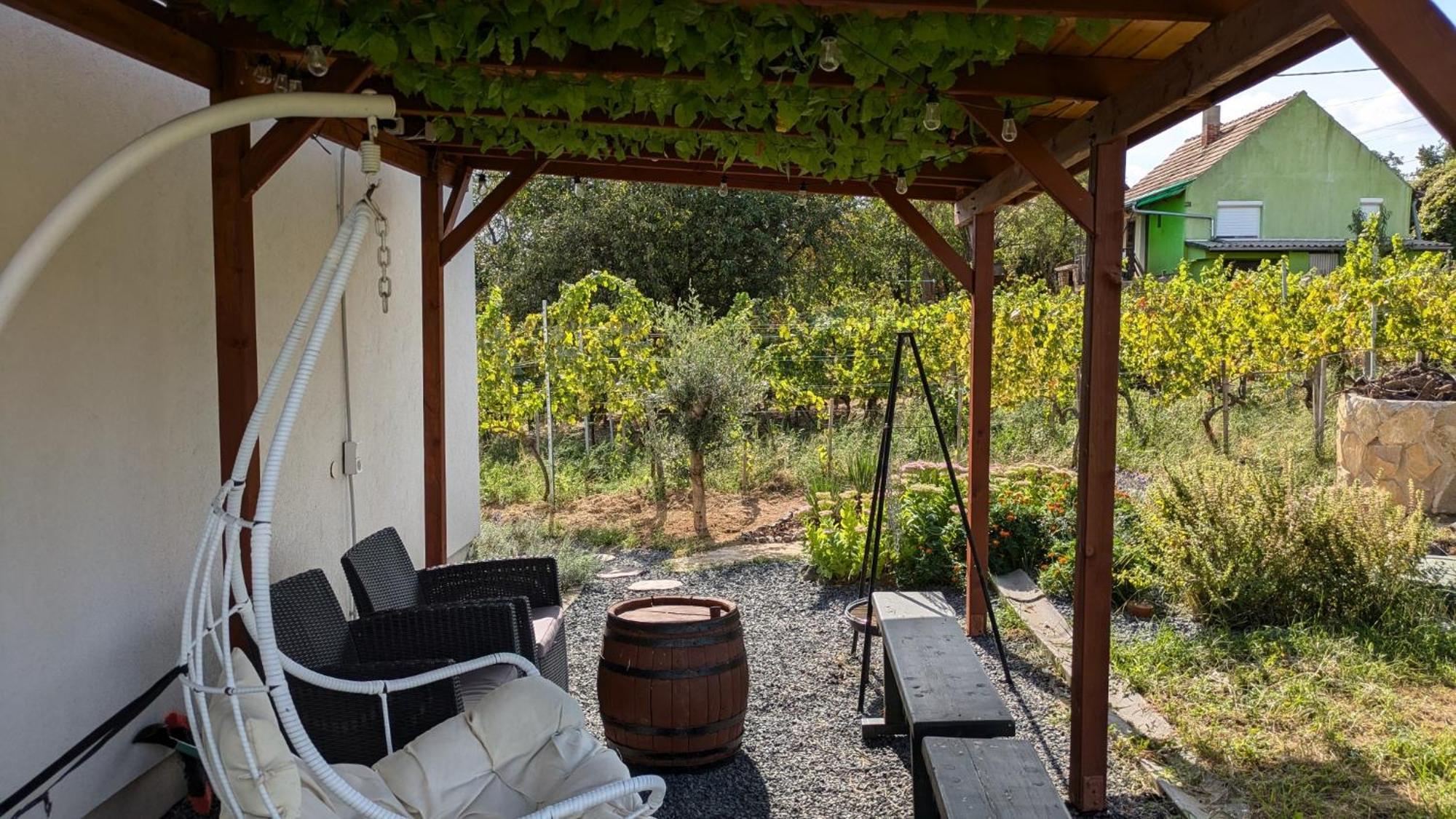 Villa Jera Pince Es Vendeghaz Somlovasarhely Exterior foto